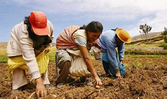 Conflicto en el Estrecho de Ormuz puede afectar a la agricultura peruana