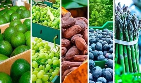 Estados Unidos y Países Bajos concentraron el 53% del total de las agroexportaciones