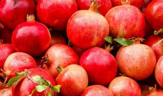 Exportaciones peruanas de granada sumaron US$ 117.4 millones en 2025, creció 37.7%