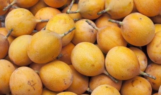 Producción de granadilla alcanzó las 50.853 toneladas en 2025