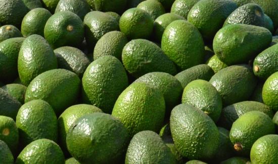 ProHass fortalece su compromiso e impulso a la Agenda Estratégica Nacional frente al cadmio