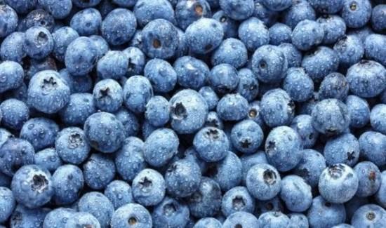 Región Lima exportó 21.937 toneladas de arándanos frescos para la campaña 2025/2026