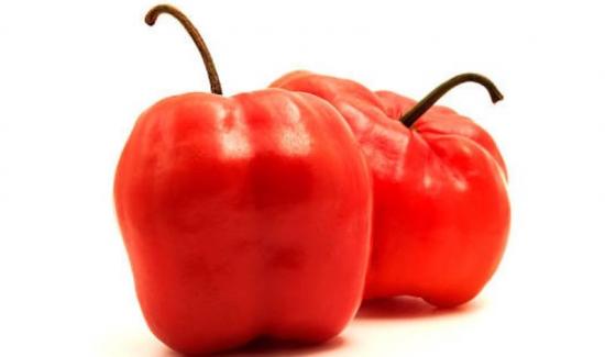 Rocoto de Huancavelica conquista mercados de Estados Unidos y Europa