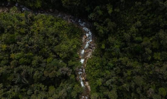 Urgen la creación de área protegida en Oxapampa ante amenazas de crisis hídrica y deforestación