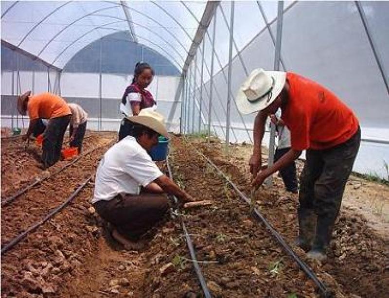 “AGROIDEAS ES UN CASO DE ÉXITO QUE SE PUEDE EXPORTAR” 