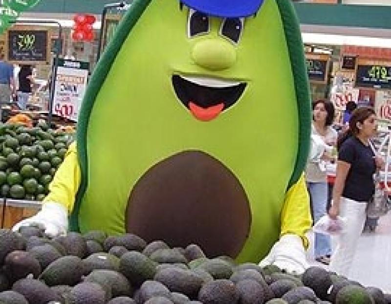 “ES IMPORTANTE DIVERSIFICAR EL USO DE LA PALTA”