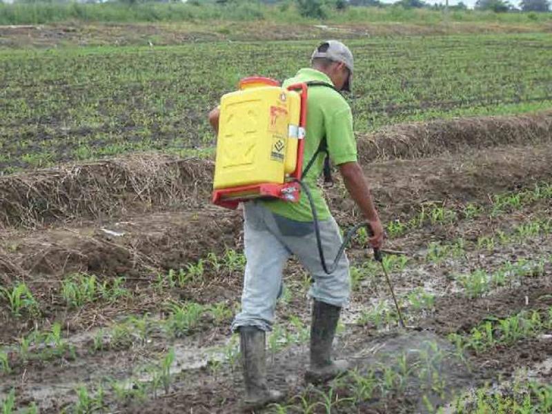 “HAY UNA ESTRATEGIA PARA MANTENER LA COMPETITIVIDAD DEL AGRO PERUANO”