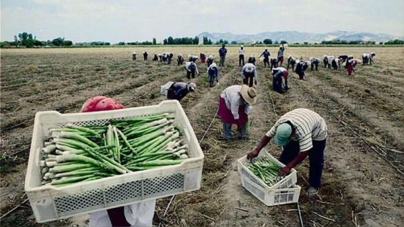 12 de los 24 departamentos del Perú empeoraron sus condiciones laborales en el 2023