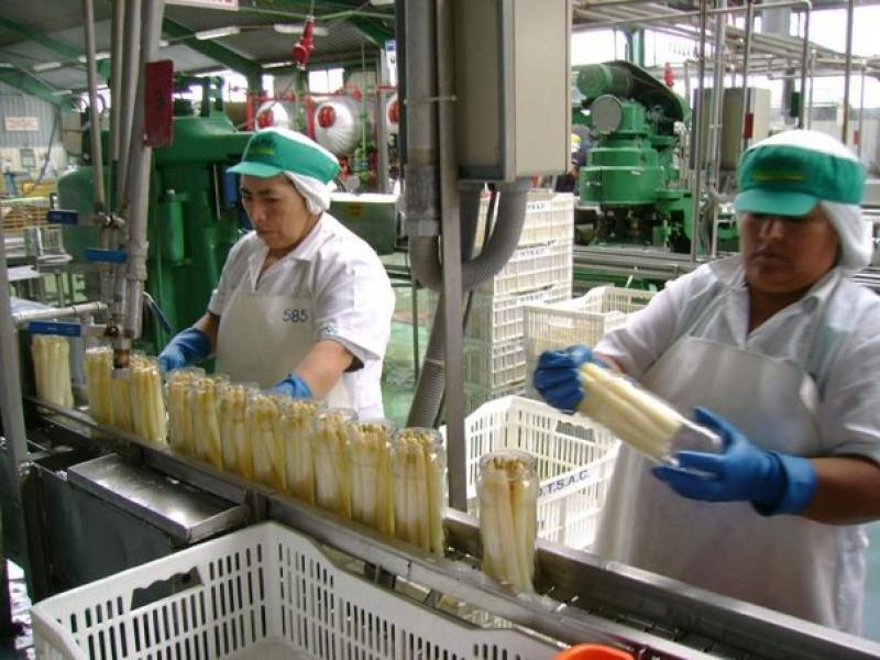 1.501 empresas dejaron de exportar en el primer trimestre del año