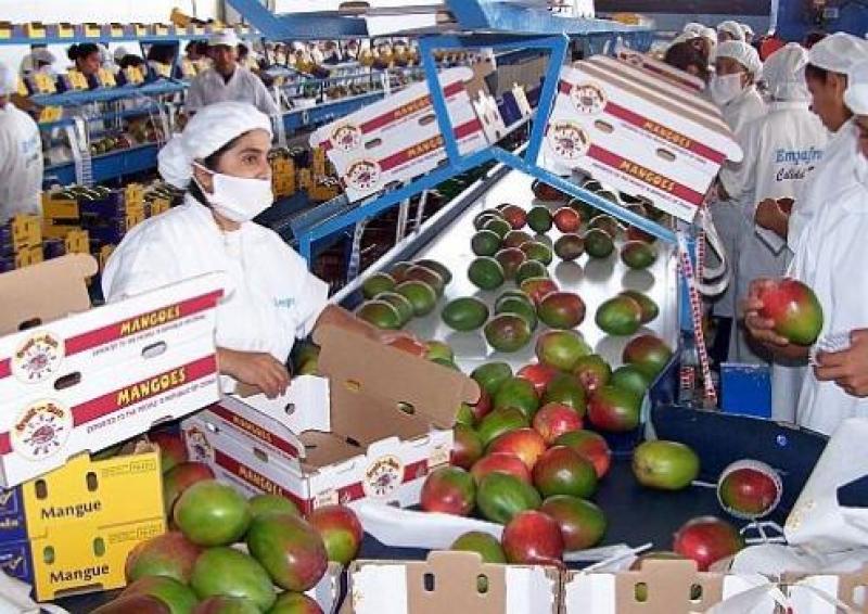 1.528 EMPRESAS AGROPECUARIAS PERUANAS EXPORTARON HASTA NOVIEMBRE DE 2014