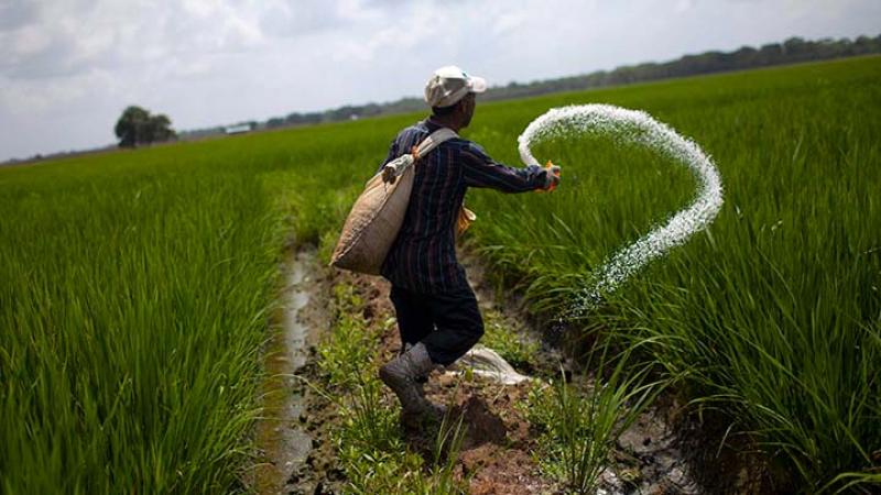 2018: cayó notablemente la importación de urea