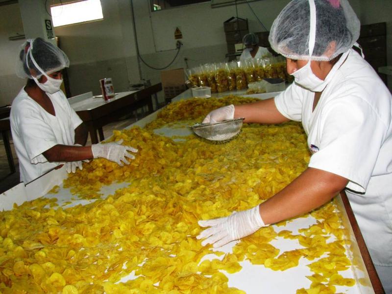 28 EMPRESAS PARTICIPAN EN PROGRAMA GLOBUS