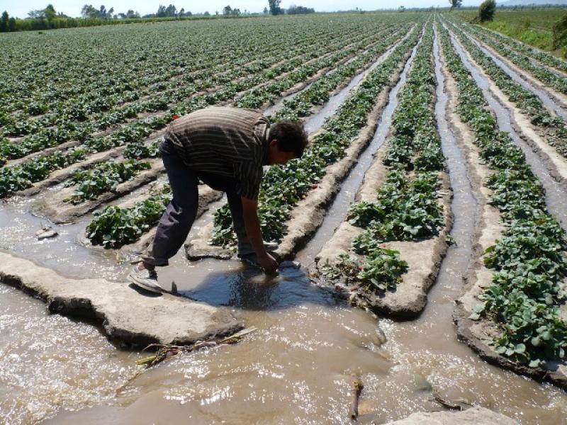 280 MIL AGRICULTORES CREAN LA ASOCIACIÓN DE USUARIOS DE AGUA DE LA LIBERTAD