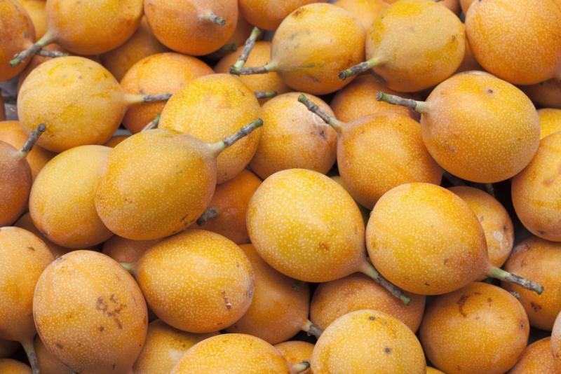 6.158 productores se dedican al cultivo de granadilla en nuestro país