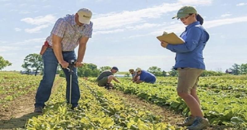 64 funcionarios de gestión regional agraria de Perú reforzarán capacidades técnicas para la promoción de agronegocios