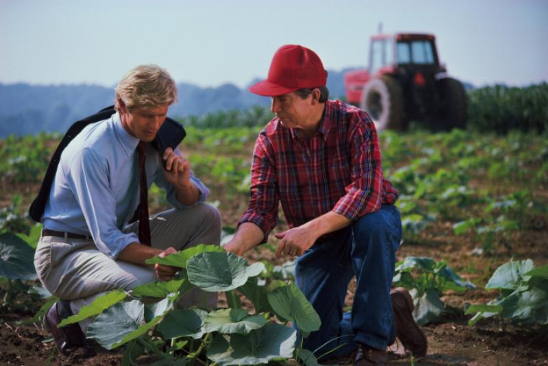 8 RAZONES DE POR QUÉ LAS CARRERAS AGRÍCOLAS SE NECESITAN MÁS QUE NUNCA