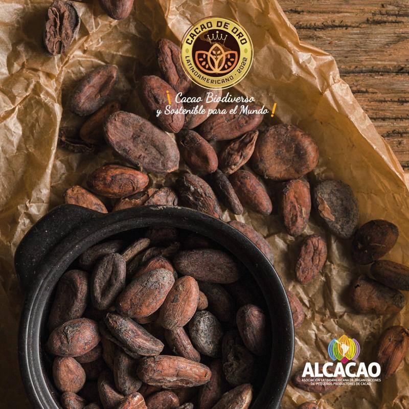 A la fecha, 37 muestras de cacao ya han sido seleccionadas para el primer concurso Cacao de Oro Latinoamericano 2022