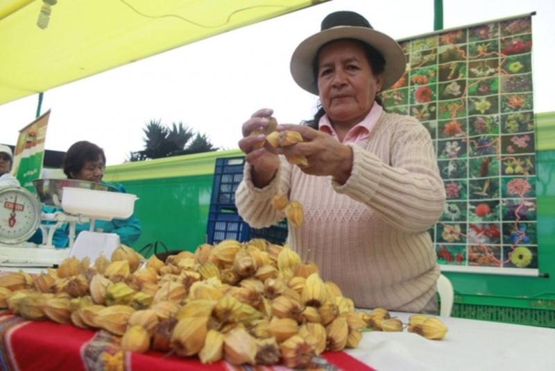 A TRAVÉS DE PROCOMPITE IMPULSARÁN 15 PRODUCTOS EN JUNÍN