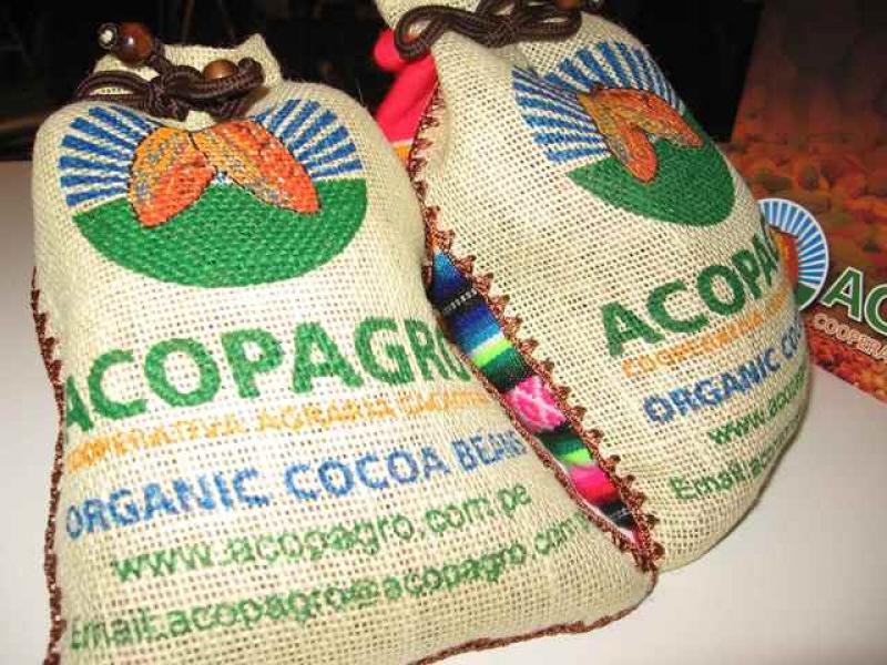 ACOPAGRO EXPORTARÍA MÁS DE 5 MIL TONELADAS DE CACAO ESTE AÑO