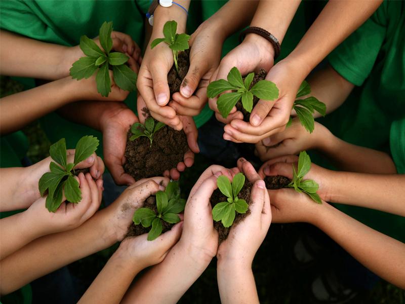 Acuerdan mejorar acceso de la sociedad civil a la  información ambiental