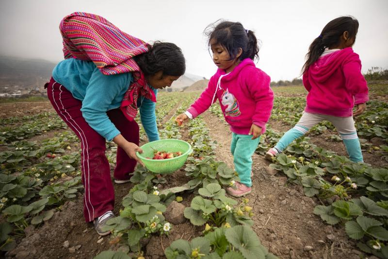 Agricultoras reinventan sus negocios para generar ingresos durante la pandemia