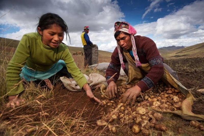 Agricultores conmemorarán su día con ciclos de conferencias y reconocimientos