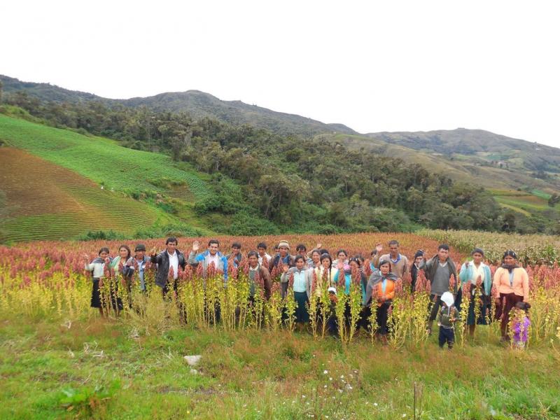 AGRICULTORES DE QUINUA EXHIBIERON PRODUCTOS EN FERIA DE INIA