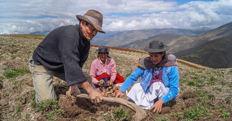 Agricultores y ganaderos de Moquegua podrán acceder a créditos preferenciales con Agro Quellaveco