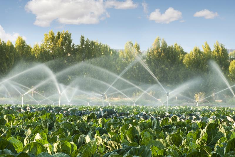 Agricultura altamente productiva y sostenible