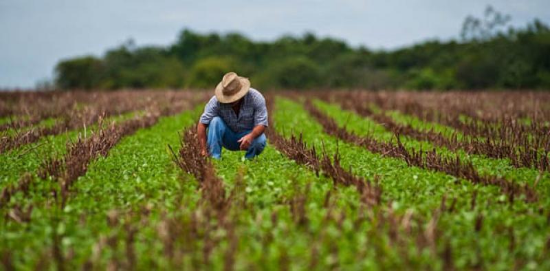 “Agricultura familiar debe modernizarse para ser productiva y sostenible”