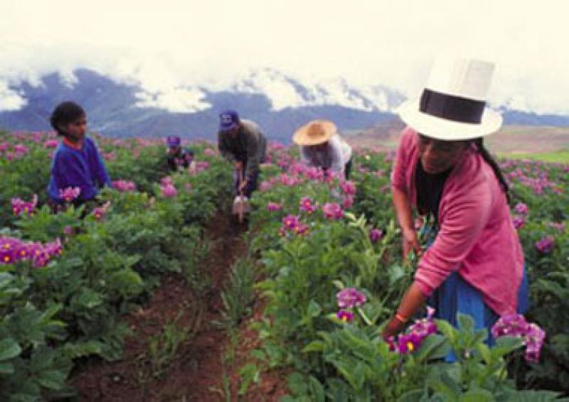 AGRICULTURA FAMILIAR, ORGÁNICA Y CAMBIO CLIMÁTICO SERÍAN PRIORIDAD