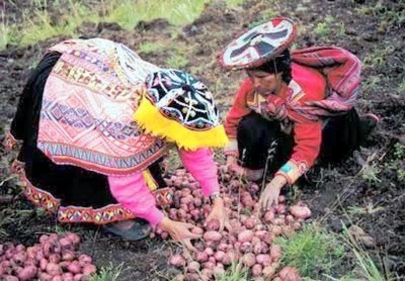 AGRICULTURA NATURAL, EL FUTURO ALIMENTICIO DEL MUNDO