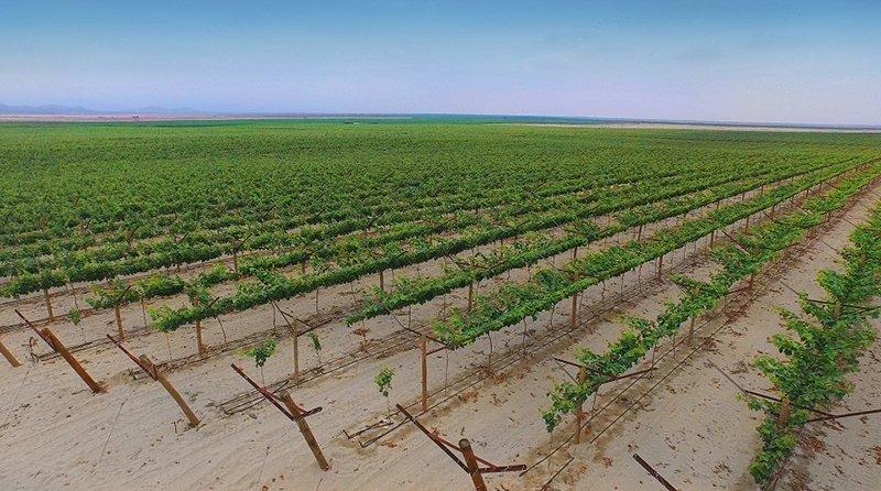 Agro atraerá más de US$ 20.000 millones de inversión