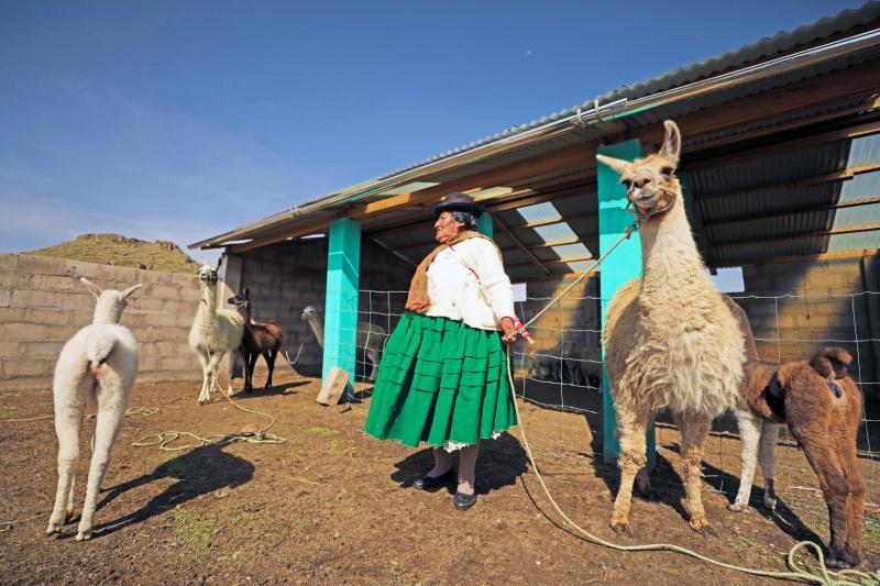 Agro Rural atenderá a más de 75 mil familias para reducir los efectos de las heladas