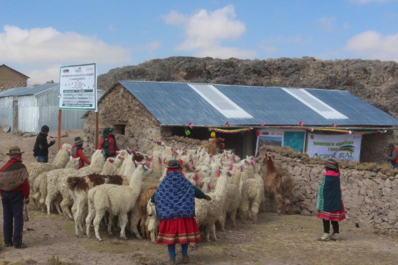 Agro Rural construyó 2.353 cobertizos en 10 regiones del país