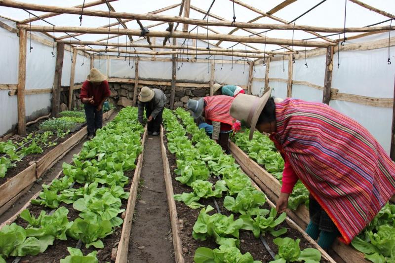 Agro Rural desarrolla acciones preventivas frente a posible escasez de agua en el centro y sur del país