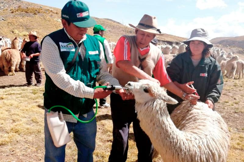 Agro Rural entregará más de 48.000 kits a pequeños productores de 15 regiones