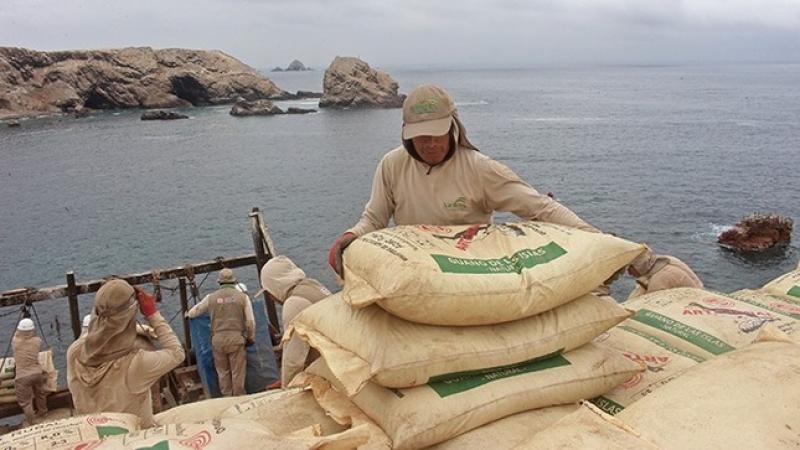 Agro Rural recolectará 24 mil toneladas de guano de las islas este año