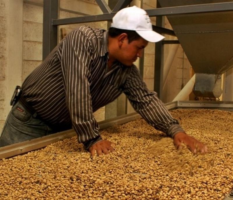 AGROBANCO FINANCIARÁ PLANTA PROCESADORA DE CAFÉ POR S/. 2 MILLONES