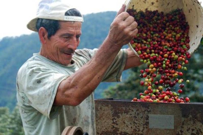 AGROBANCO PROYECTA CERRAR ESTE AÑO CON 50 MIL CLIENTES