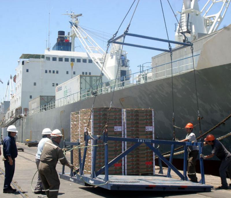 AGROEXPORTACIONES A CANADÁ INCREMENTARÁN 30% EN EL 2011