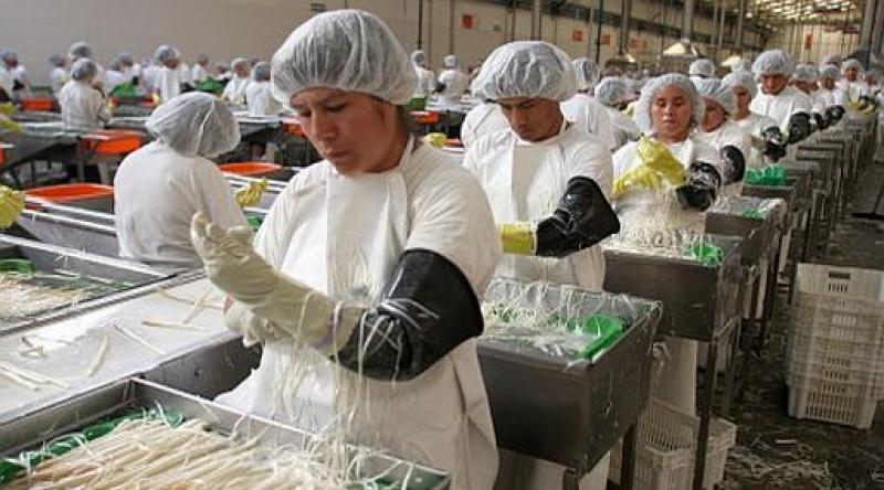 AGROEXPORTACIONES NACIONALES CRECERÍAN MÁS DE US$ 500 MILLONES