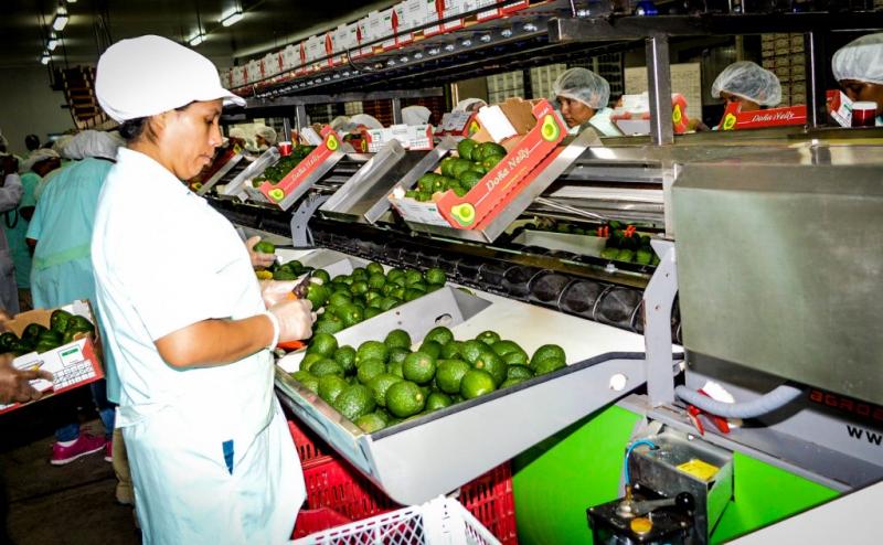 Agroexportaciones participaron con el 15.8% del total de las exportaciones peruanas en 2021