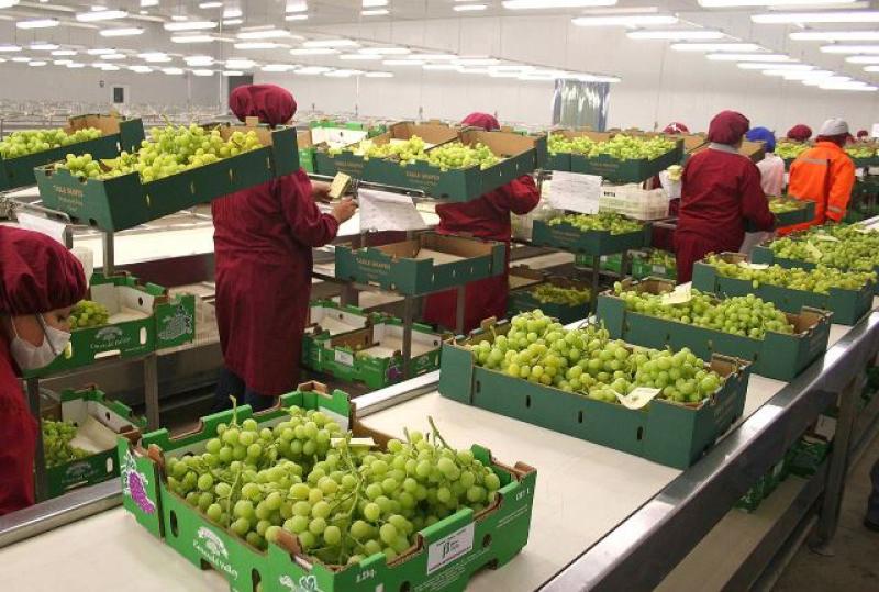 AGROEXPORTACIONES PERUANAS A EE.UU. CRECIERON 16.1% EN PROMEDIO ANUAL