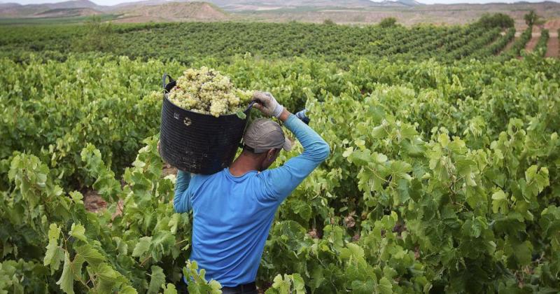 Agroideas aprobó 14 planes de negocio en beneficio de 458 productores