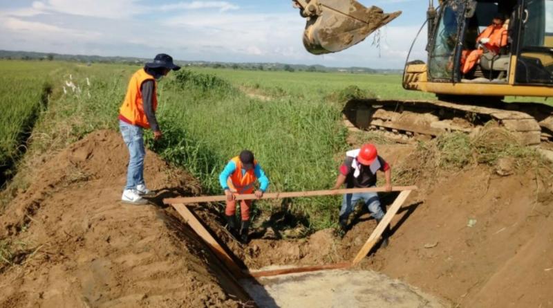 Agroideas buscaría desconocer 300 planes de negocios que ya fueron aprobados