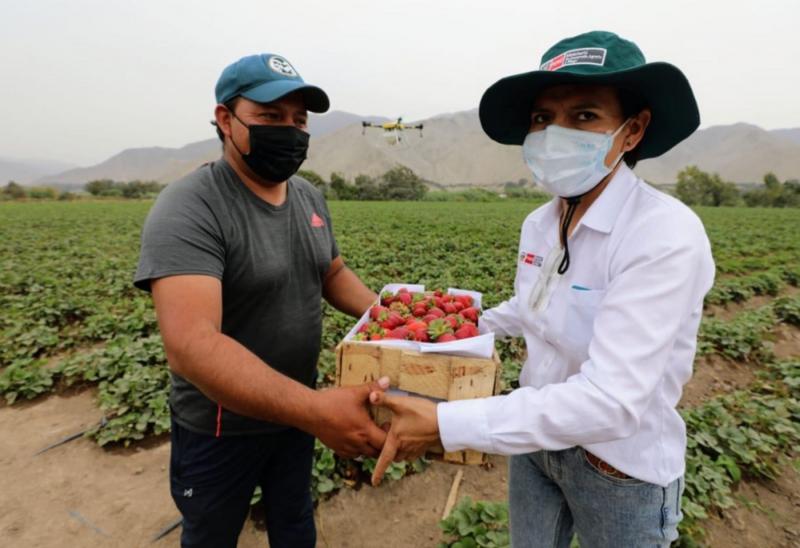 Agroideas invirtió S/ 1.100 millones en apoyo de 73.755 productores