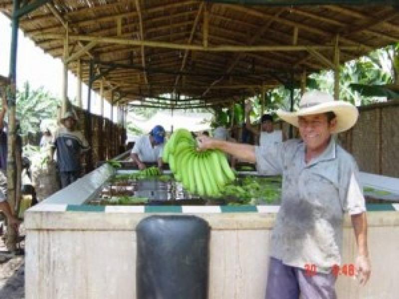 AGROIDEAS PROMOVERÁ PROYECTOS EN PIURA, TUMBES Y LAMBAYEQUE