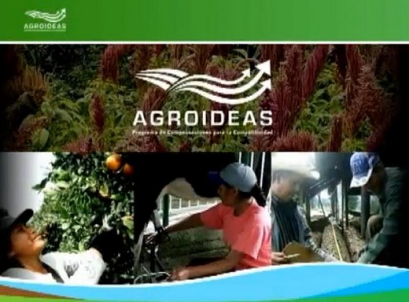 AGROIDEAS PROYECTA EMPREDER NEGOCIOS AGRARIOS EN LA SIERRA