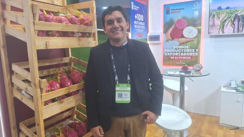 Agroindustria Baleno proyecta exportar más de 300 toneladas de pitahaya fresca en 2025